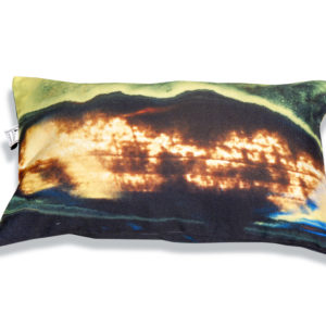 housse de coussin tendance