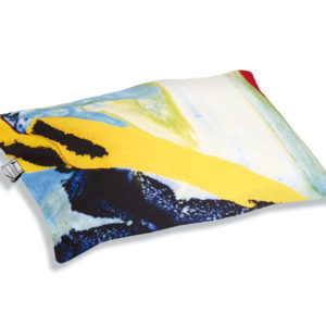 housse de coussin tendance